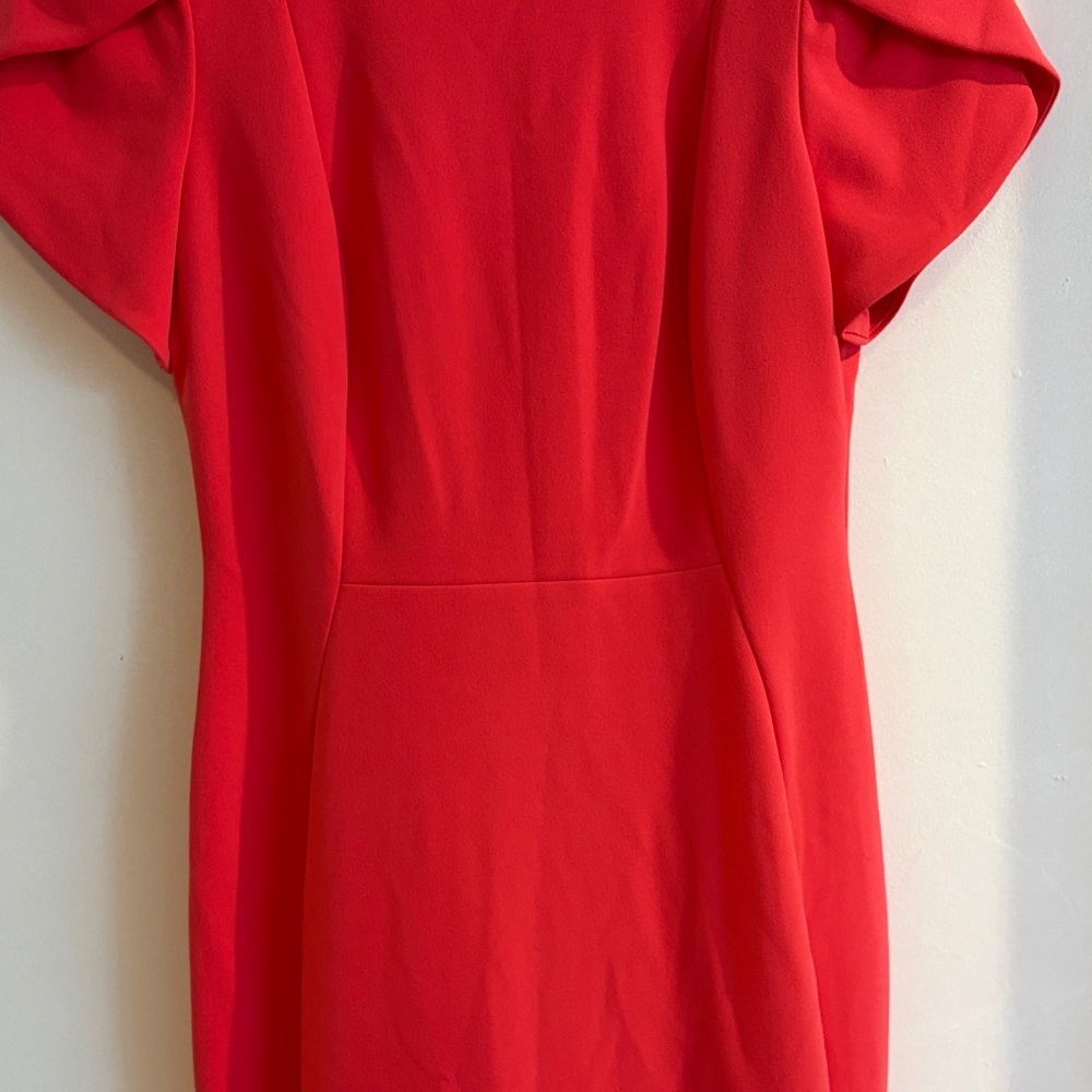 Calvin Klein Reddish Pinkish Midi Dress with Puff Sleeves - Picture 5 of 11
